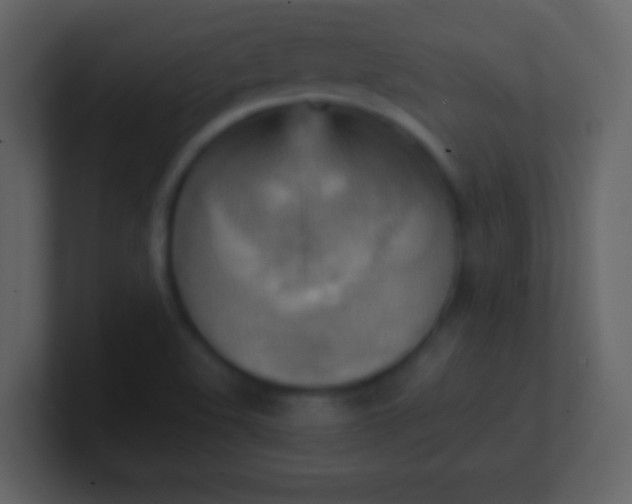 X0000100931508200807081201