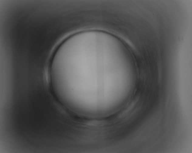 X0000100931510200807081201