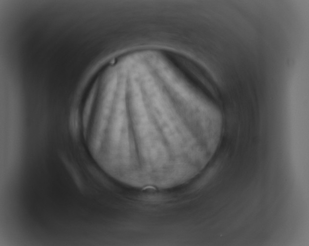 X0000100931511200807081201