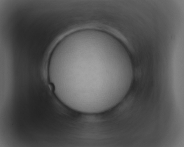 X0000100931512200807081201