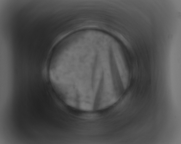 X0000100931513200807081201