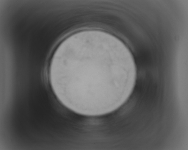 X0000100931514200807081201