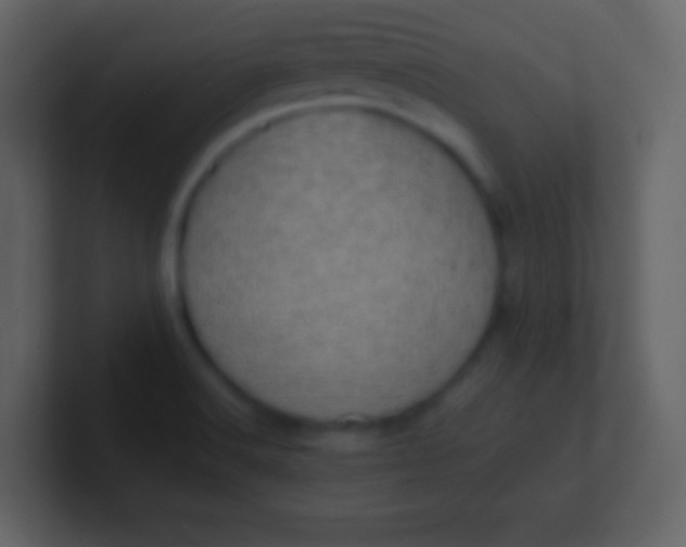 X0000100931516200807081201