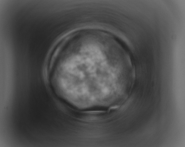 X0000100931517200807081201