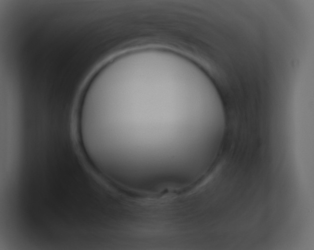 X0000100931518200807081202