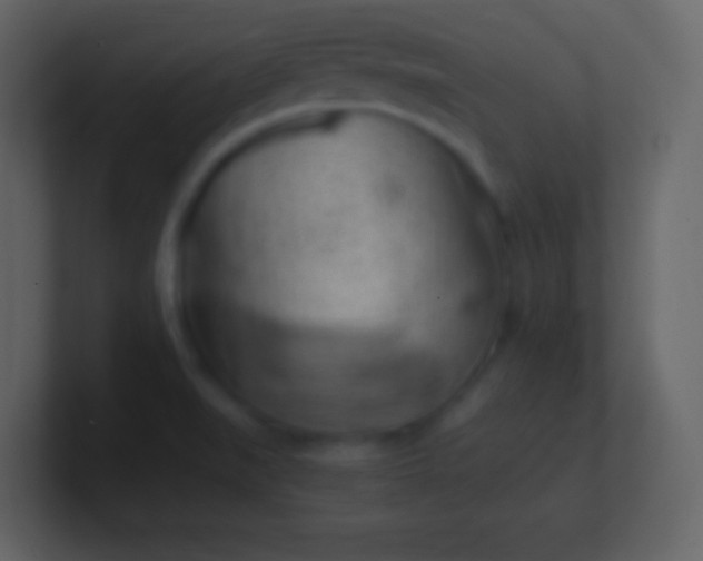 X0000100931519200807081202