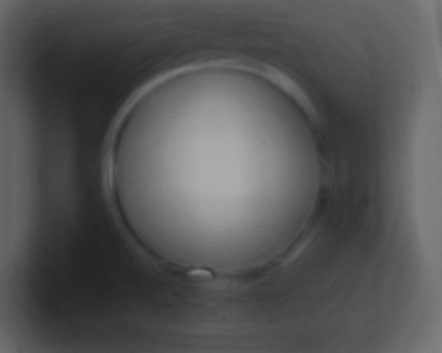 X0000100931520200807081202