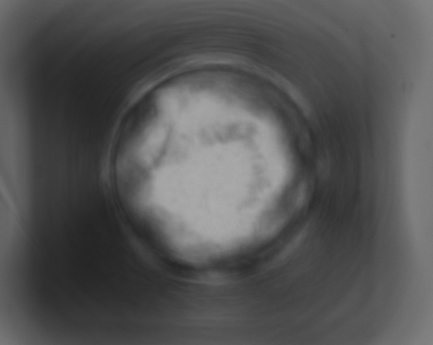 X0000100931521200807081202