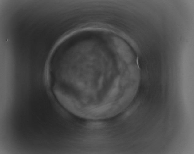 X0000100931522200807081202