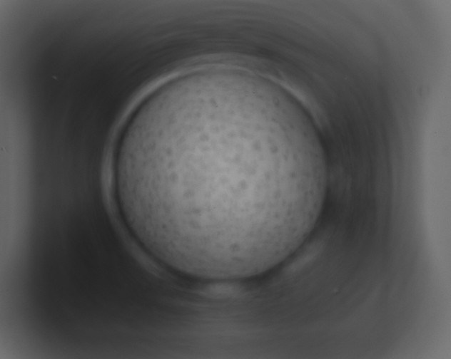 X0000100931523200807081202