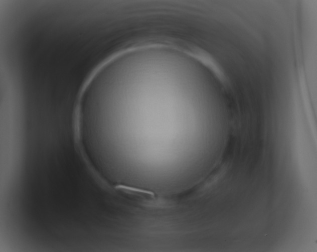 X0000100931524200807081202