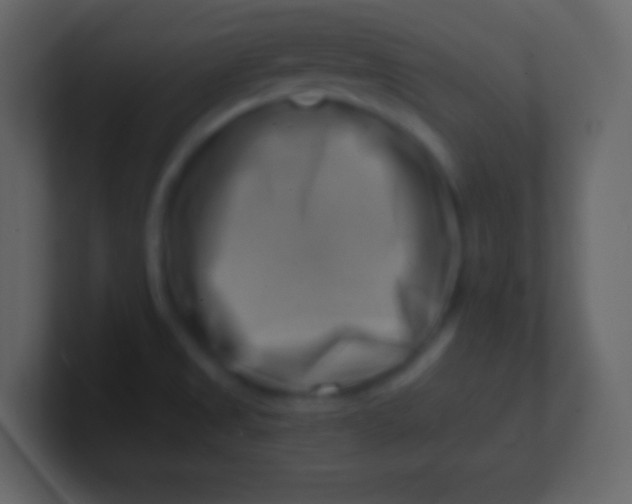 X0000100931525200807081202