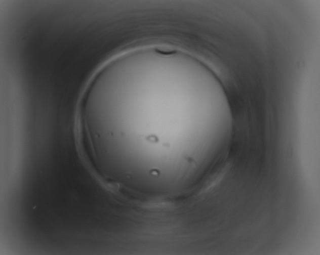 X0000100931526200807081202