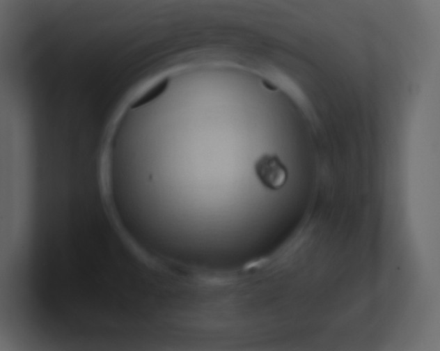 X0000100931528200807081202