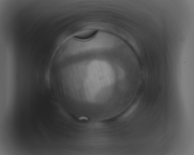 X0000100931529200807081202