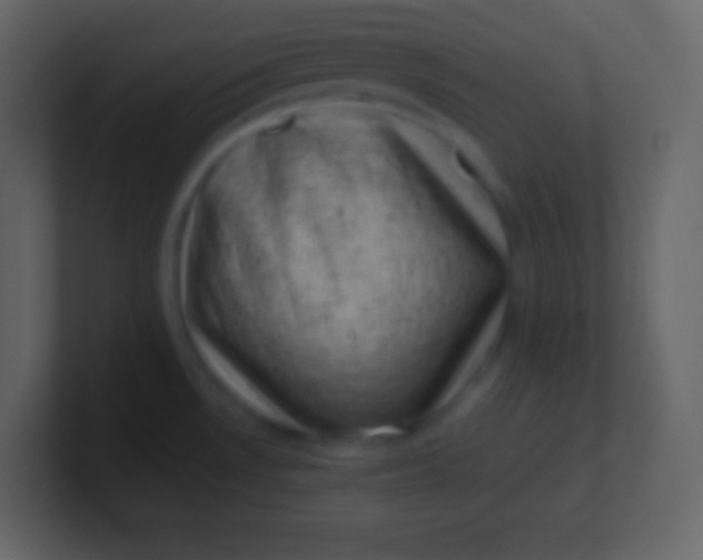 X0000100931530200807081202