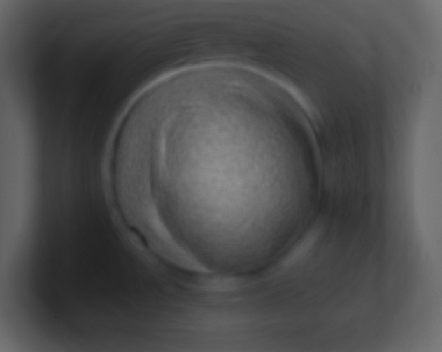 X0000100931534200807081202