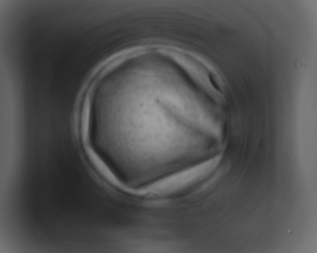 X0000100931535200807081202