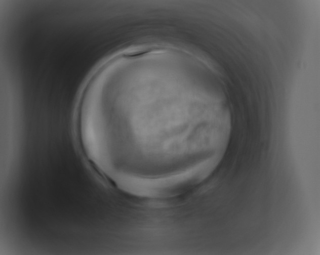 X0000100931536200807081202