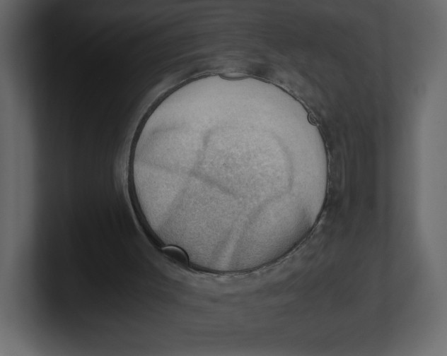 X0000100930003200807151254