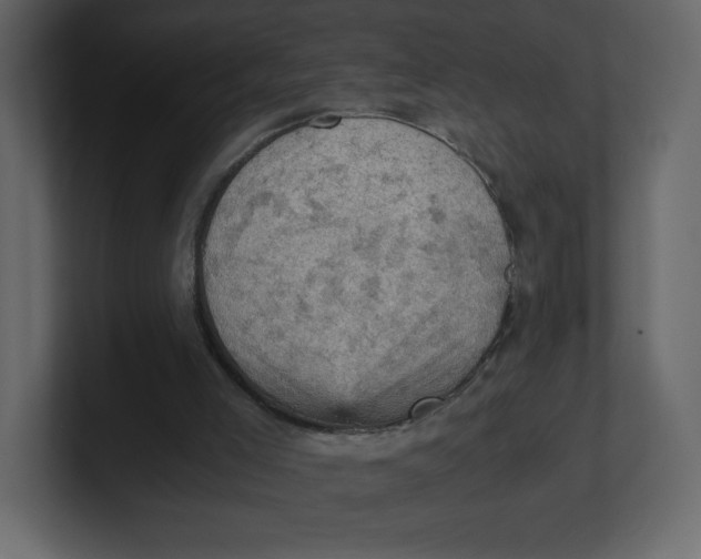 X0000100930005200807151254