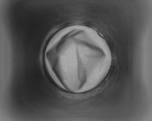 X0000100930006200807151254