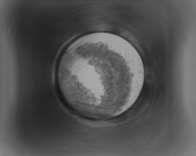 X0000100930012200807151254