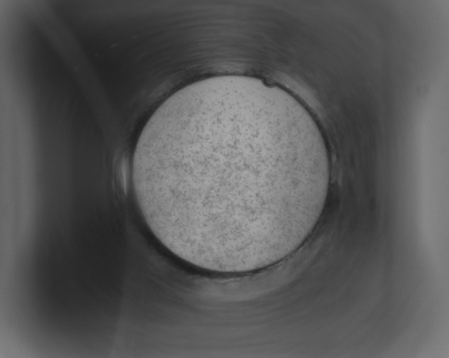 X0000100930013200807151254