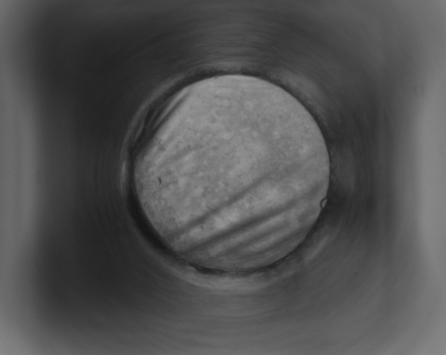 X0000100930016200807151254