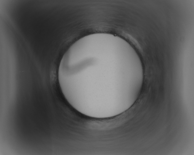 X0000100930017200807151254