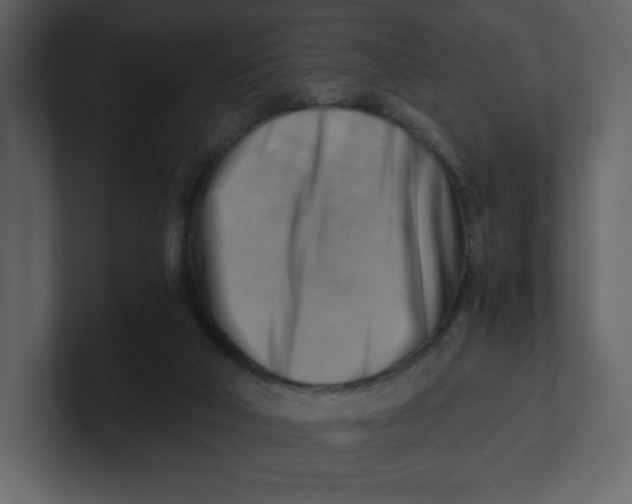 X0000100930018200807151254