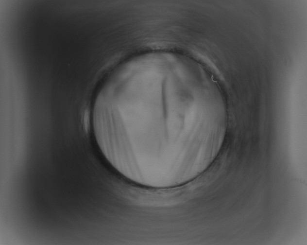 X0000100930019200807151254