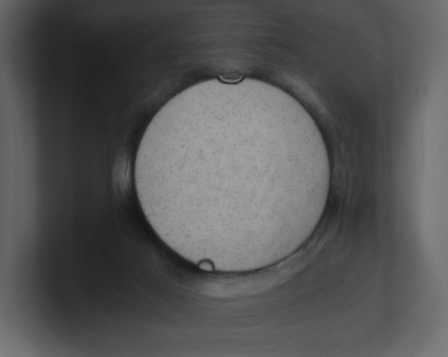 X0000100930021200807151254