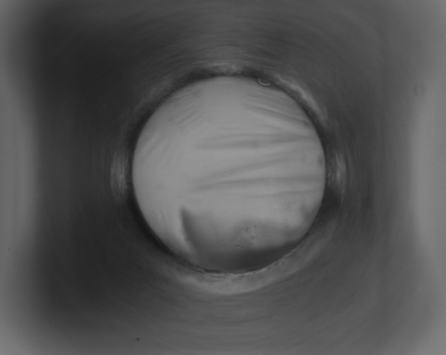 X0000100930023200807151254