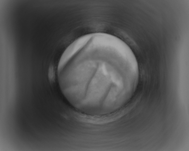 X0000100930026200807151254