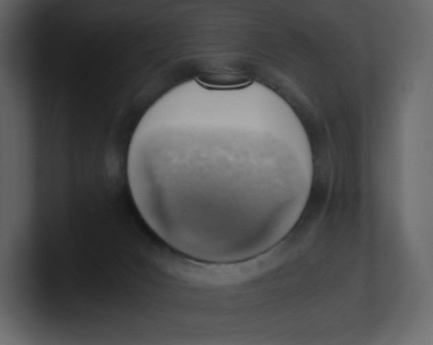 X0000100930031200807151254