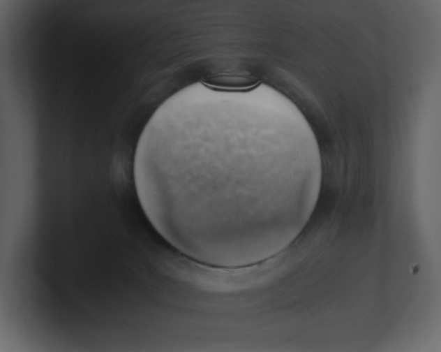 X0000100930035200807151254