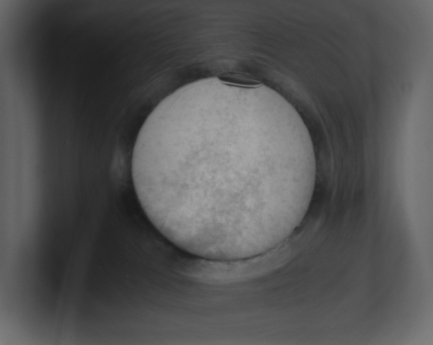 X0000100930037200807151254