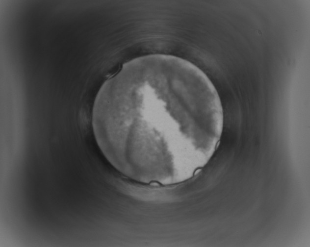 X0000100930040200807151253