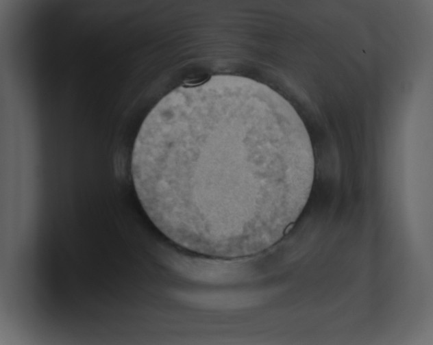 X0000100930044200807151253