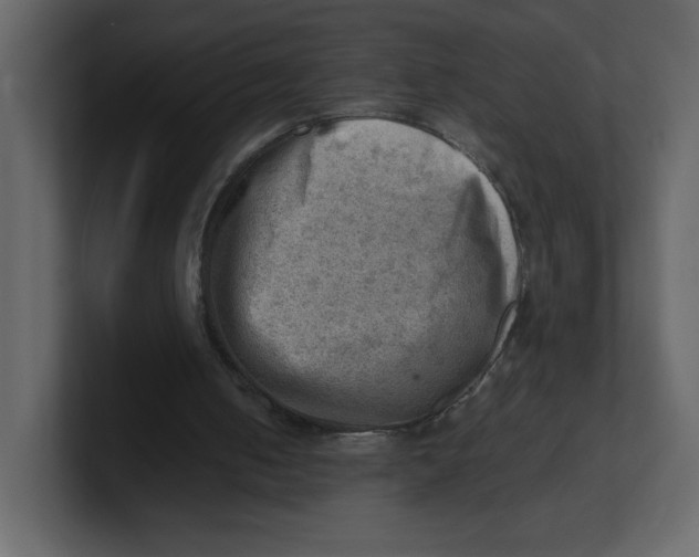 X0000100930050200807151253