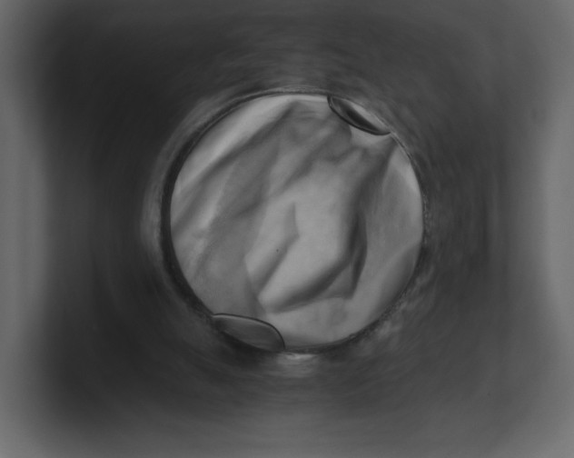 X0000100930055200807151253