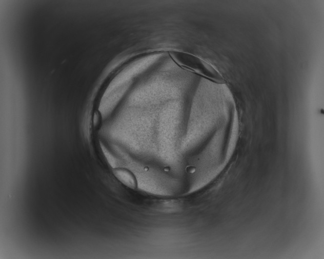 X0000100930056200807151253