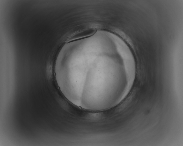 X0000100930057200807151253