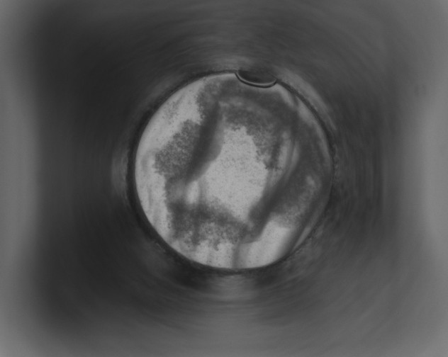 X0000100930058200807151253