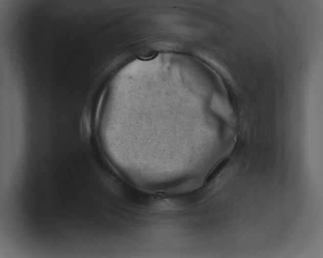 X0000100930062200807151253