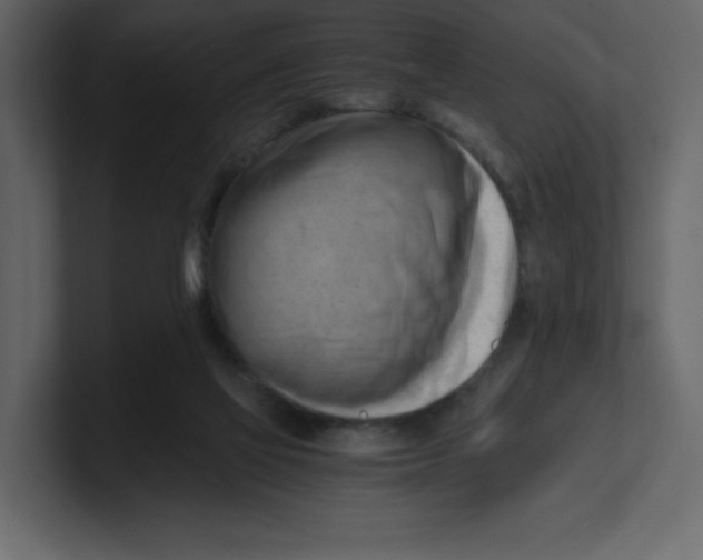 X0000100930069200807151253