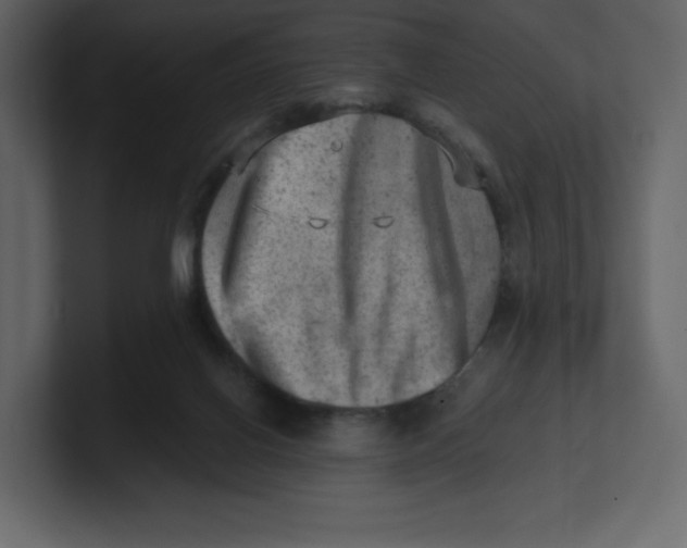 X0000100930070200807151253