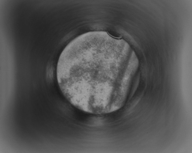 X0000100930071200807151253