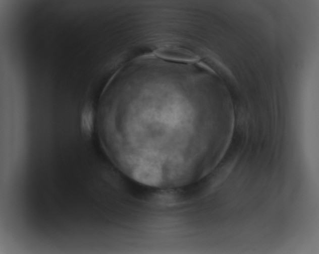 X0000100930076200807151253